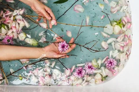 Top view of bath filled with blue bubble water, flowers, branches and petals  Stock Photos