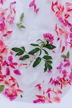 Top view of bath filled with water, flowers and petals Stock Photos