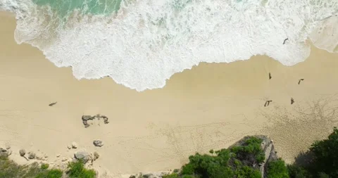 Top view beach aerial view form drone camera high quality Stock Footage 277802153