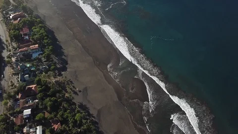TOp View beach birds flying in formation, nature mircles Stock Footage 99503698