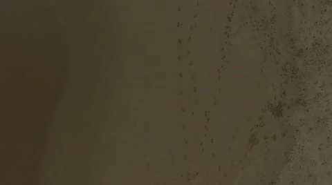 Top View of Beach Stock Footage 58949008