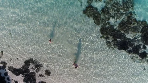 Top view on the beach Video stock 83990283