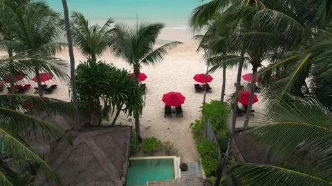Top view beach with red umbrellas, palm trees and authentic tropical beach Stock Footage 243356422