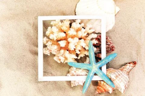 Top view of Beach sand with shells, coral and starfish. Summer background con Foto stock