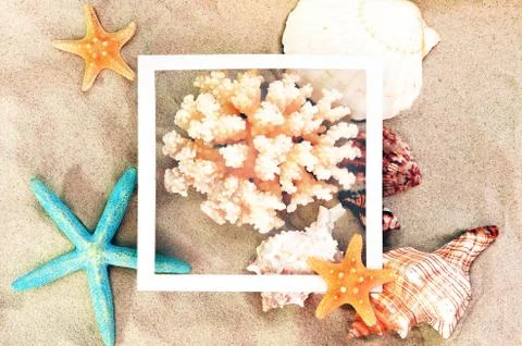Top view of Beach sand with shells, coral and starfish. Summer background con Stock Photos