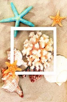 Top view of Beach sand with shells, coral and starfish. Summer background con Stock Photos