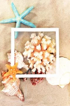 Top view of Beach sand with shells, coral and starfish. Summer background con Stock Photos