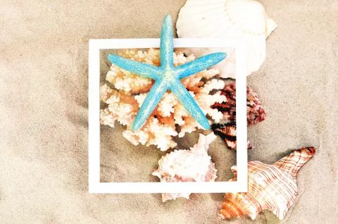 Top view of Beach sand with shells, coral and starfish. Summer background con Stock Photos