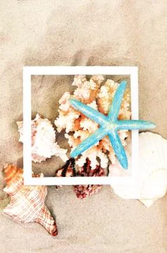 Top view of Beach sand with shells, coral and starfish. Summer background con Stock Photos
