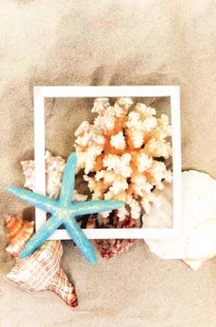 Top view of Beach sand with shells, coral and starfish. Summer background con Stock Photos