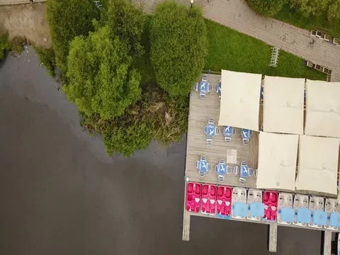 Top view of beach,beach and summer garden Stock Footage 77627308