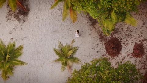 Top View Of Beachgoer Walking From Cabin Toward The Ocean Stock Footage 313470002