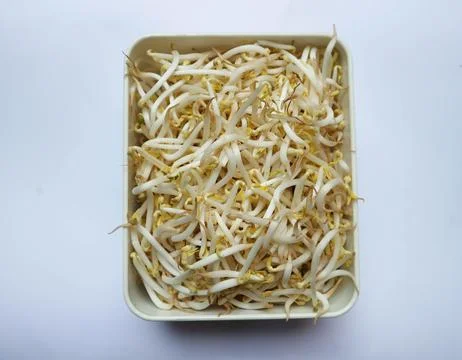 Top view, bean sprouts in the container Stock Photos