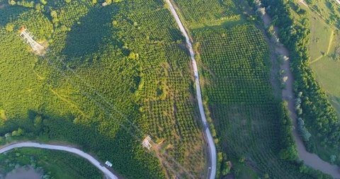Top view on the beatiful forest road with car movement. Way between deep green  Stock Footage 89870770