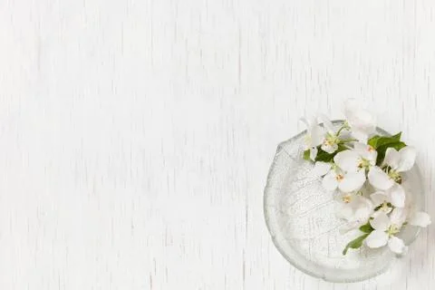 Top view on beautiful apple tree flowers in a glass plate on a white wooden b Stock Photos