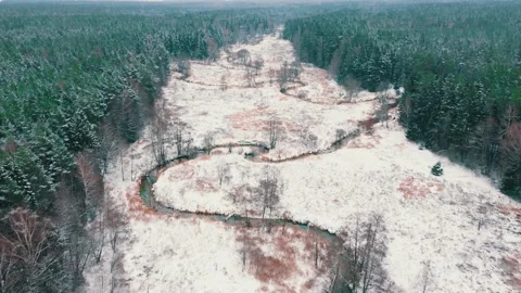Top view of the beautiful bends of a small river in the middle of the forest Stock Footage 223700713