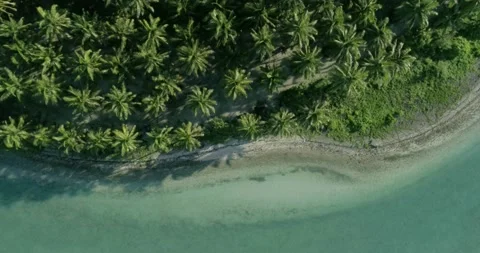 Top view beautiful exotic ocean shore coastline, transparent water, sand, palms. Stock Footage 211698938