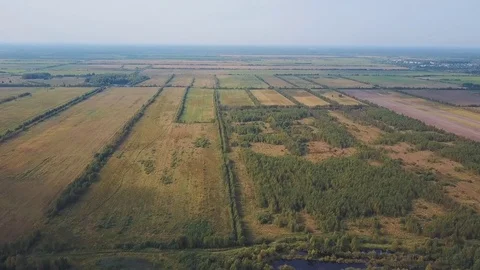 Top view of a beautiful field Stock Footage 82072673