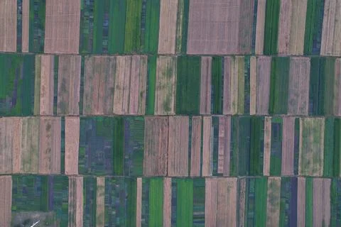 Top view on beautiful fields. Drone shot. Stock Photos