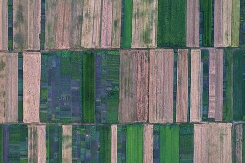 Top view on beautiful fields. Drone shot. Stock Photos