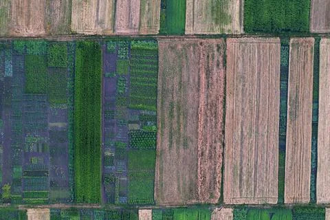 Top view on beautiful fields. Drone shot. Stock Photos