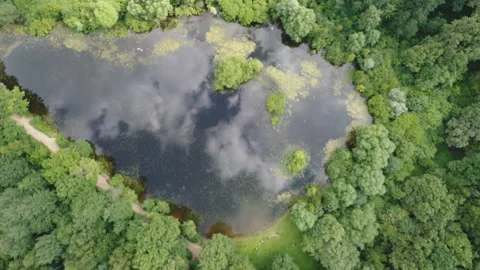 Top view of a beautiful forest lake. Stock Footage 102209131