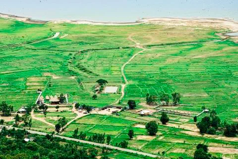 Top view of beautiful green fields and village among green forest. Green youn Stock Photos