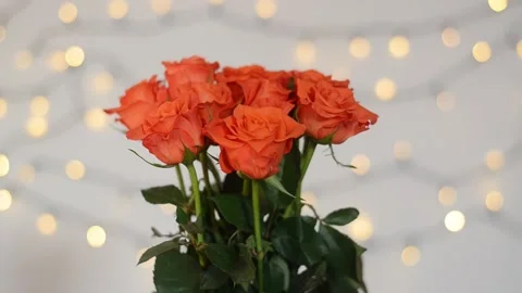 Top view of beautiful red roses bouquet, white background with bokeh. Video stock 220070835