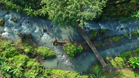 Top View of Beautiful River Flow with Bridge and Lush Vegetation Stock Footage 309916185