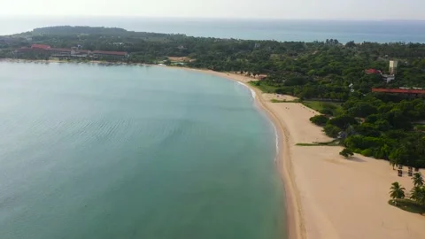Top view of Beautiful sandy beach with palm trees. Stock Footage 220048652