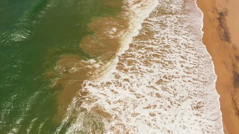 Top view of a beautiful sandy beach and ocean with waves. Sri Lanka. Stock Footage 229908438