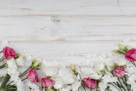 Top view beautiful spring flowers composition with copy space Stock Photos