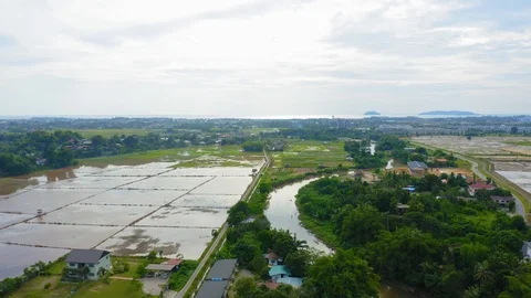 Top view of beautiful vegetable farm and paddy field pattern Stock Footage 113561741