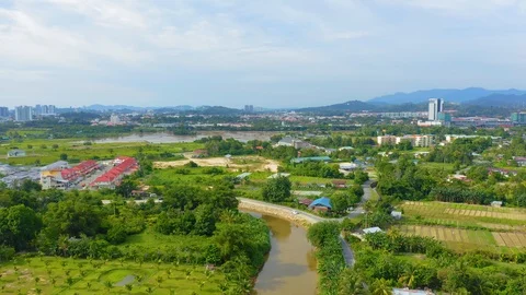 Top view of beautiful vegetable farm and paddy field pattern Stock Footage 113561750