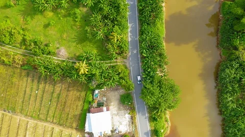 Top view of beautiful vegetable farm and paddy field pattern Stock Footage 113561848