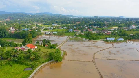 Top view of beautiful vegetable farm and paddy field pattern Stock Footage 113561859