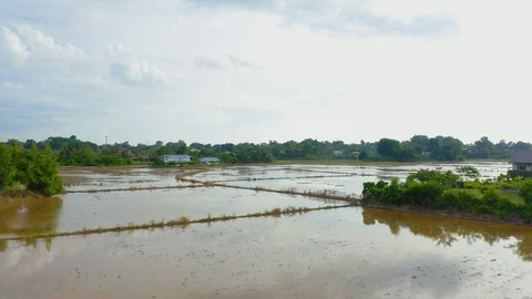 Top view of beautiful vegetable farm and paddy field pattern Stock Footage 113561938