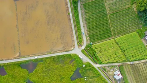 Top view of beautiful vegetable farm and paddy field pattern Stock Footage 113561948