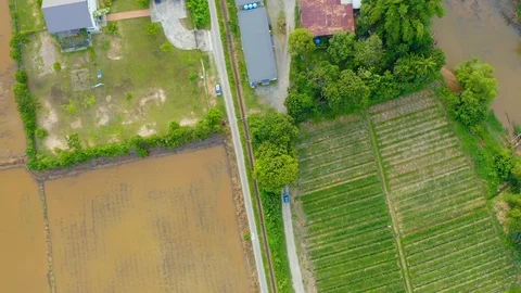 Top view of beautiful vegetable farm and paddy field pattern Stock Footage 113562024