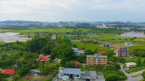 Top view of beautiful vegetable farm and paddy field pattern Stock Footage 113562619