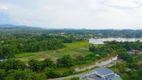 Top view of beautiful vegetable farm and paddy field pattern Stock Footage 113562743
