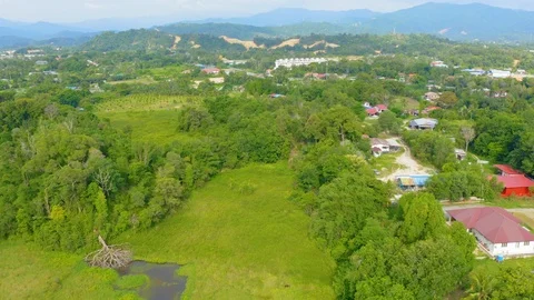 Top view of beautiful vegetable farm and paddy field pattern Stock Footage 113562869