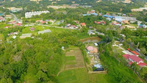 Top view of beautiful vegetable farm and paddy field pattern Stock Footage 113562873