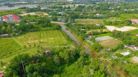 Top view of beautiful vegetable farm and paddy field pattern Stock Footage 113562930