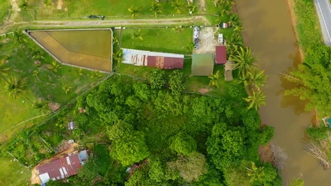 Top view of beautiful vegetable farm and paddy field pattern Stock Footage 113562970