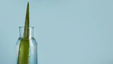 Top view beauty elements concept with copy space Fotos Stock