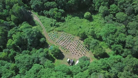 Top view of a bee apiary. Stock Footage 159952321