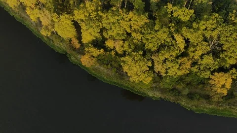 Top view of the bend of the dark river with a picturesque autumn green forest on Stock Footage 123685115