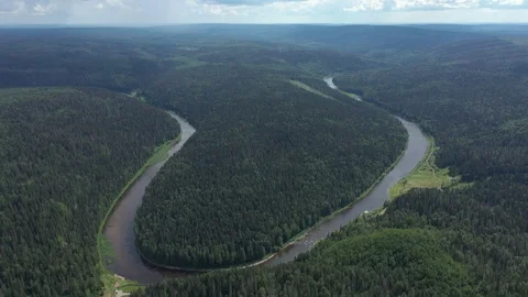 Top view of bend of river, located in the forest Stock Footage 120065296