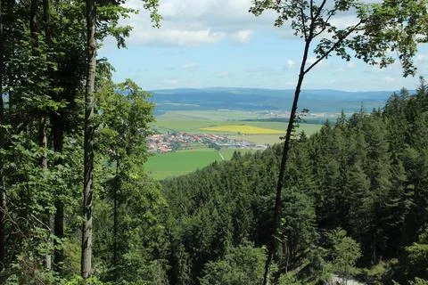 Top view between the trees on the city and the vast plain Stock Photos